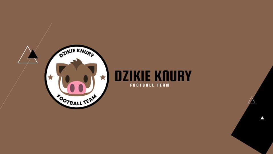 Zdjęcie: DZIKIE KNURY CUP – charytatywny turniej piłkarski w Rudzie Śląskiej