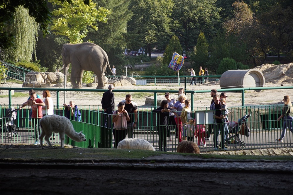 Park Śląski od 70 lat służy spacerowiczom, turystom czy uczestnikom imprez masowych