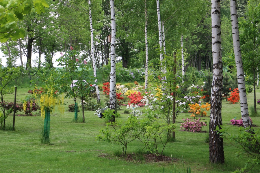 Ogród botaniczny w Mikołowie - co w nim znajdziemy?