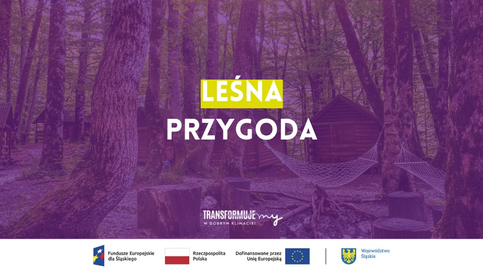 Zdjęcie: Leśna przygoda