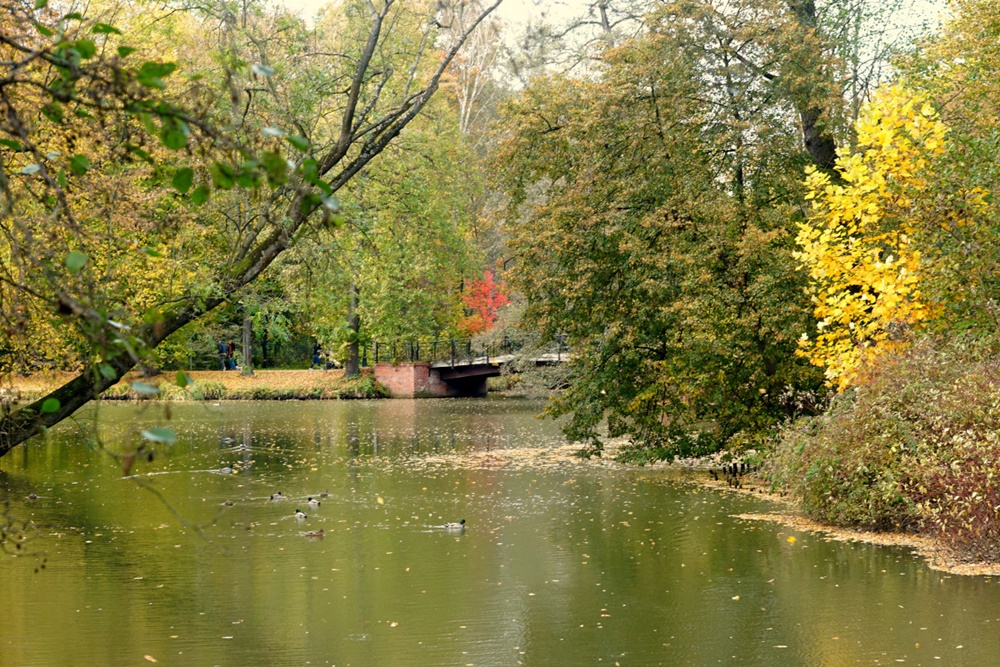 Park Zamkowy w Pszczynie idealny na jesienne spacery. Feeria barw zachęca do odwiedzin