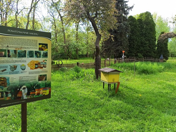 Miejski Ogród Botaniczny w Zabrzu to jedna z perełek województwa śląskiego