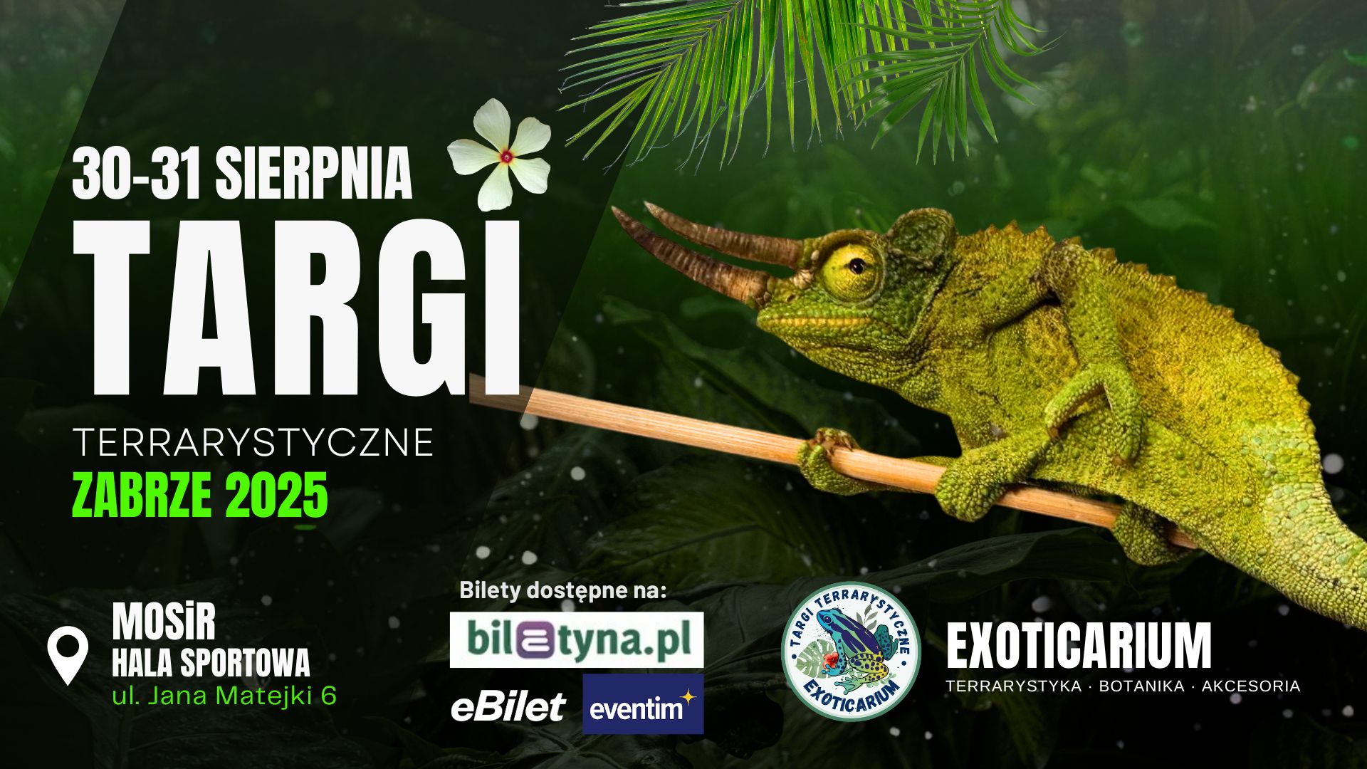 Zdjęcie: EXOTICARIUM Targi Terrarystyczne Zabrze