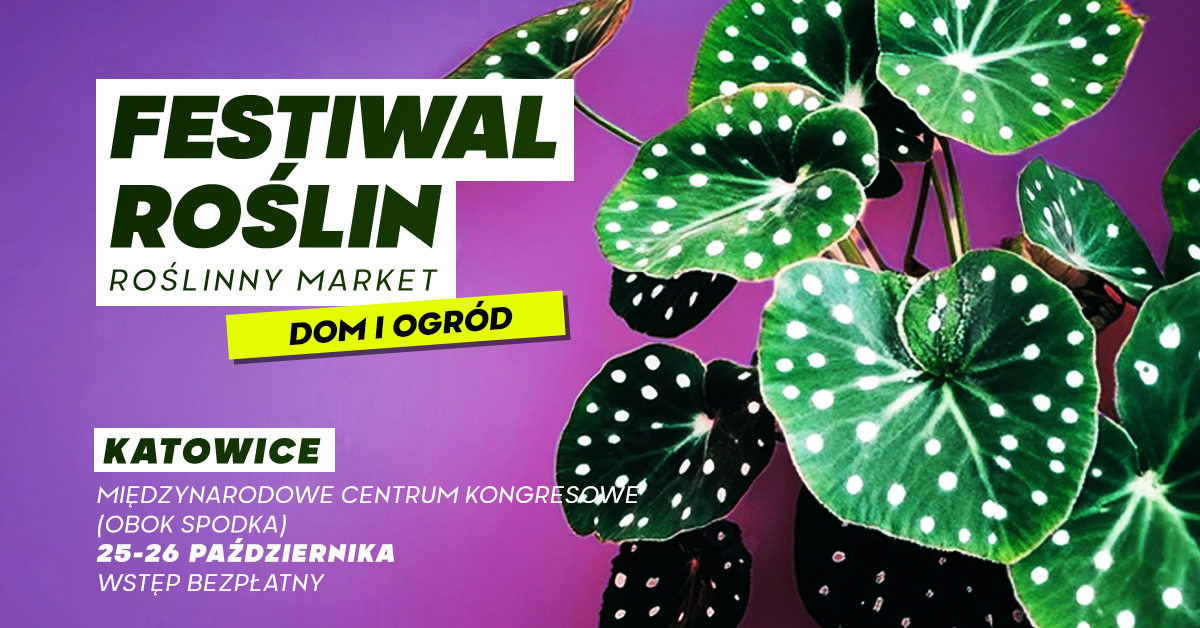 Zdjęcie: Festiwal Roślin