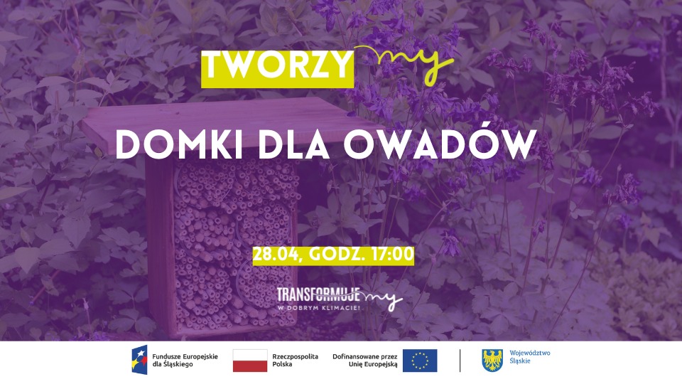 Zdjęcie: 
