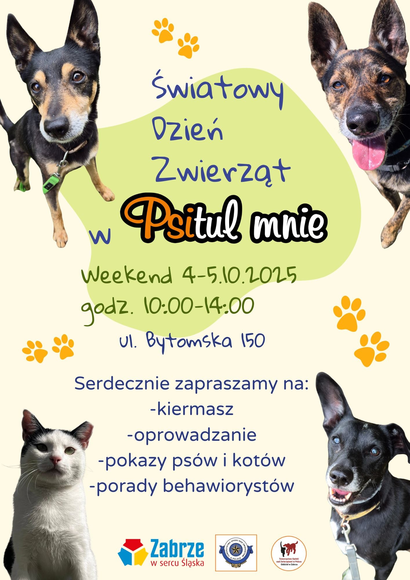 Zdjęcie: Światowy Dzień Zwierząt - dni otwarte Psitula