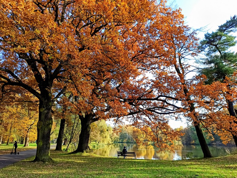Park w Świerklańcu to jeden z najciekawszych parków województwa śląskiego [Galeria]