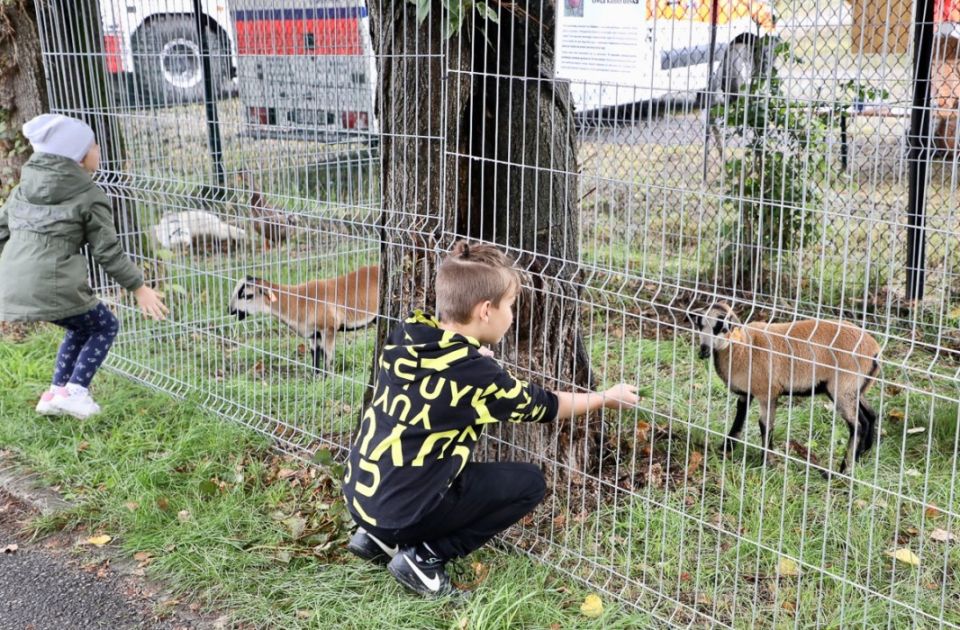 Święto plonów pod prezydenckim patronatem [FOTORELACJA] - galeria