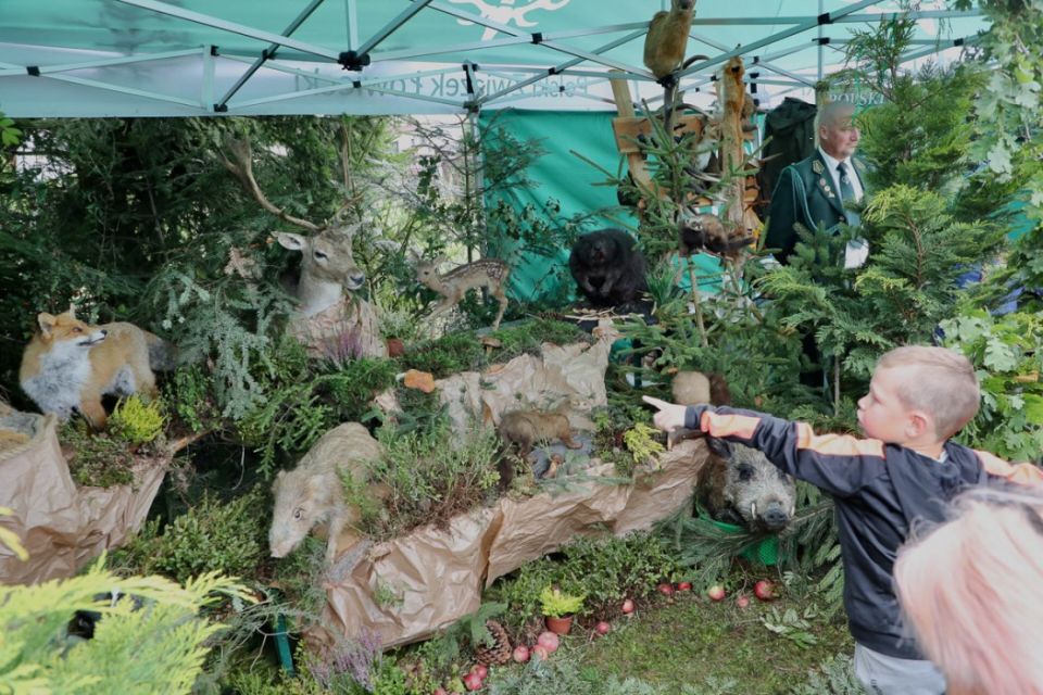 Święto plonów pod prezydenckim patronatem [FOTORELACJA] - galeria
