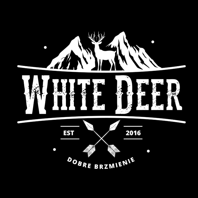 Koncert zespołu White Deer w ramach Otwartej Sceny Artystycznej - galeria