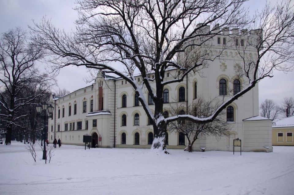 Stary Zamek/fot. Wikipedia (Janericloebe)