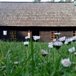 Wizyta w Zagrodzie Wsi Pszczyńskiej — wiejskie życie w śląskiej odsłonie!  - galeria