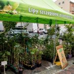 Za nami trzecia edycja Święta Miodu Województwa Śląskiego - galeria