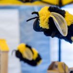 Za nami trzecia edycja Święta Miodu Województwa Śląskiego - galeria