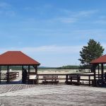 Pustynia Błędowska – miejsce idealne na spacer oraz relaks! - galeria