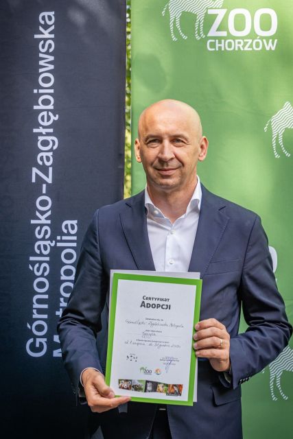Śląskie ZOO ma nowego mieszkańca! To 13-letni tygrys amurski o imieniu Tiber! - galeria