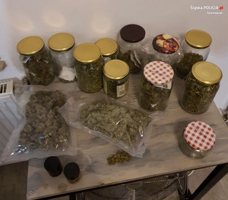 Sosnowiec: Kolejne uderzenie w narkobiznes. Policjanci znaleźli marihuanę, kokainę i grzyby halucynogenne! - galeria