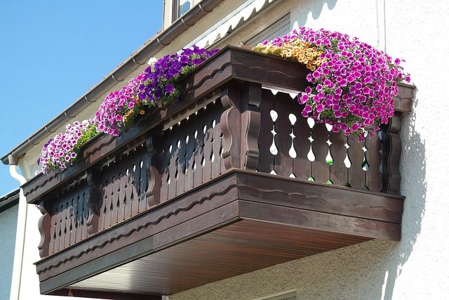 Wytrzymałe kwiaty na południowy balkon - galeria