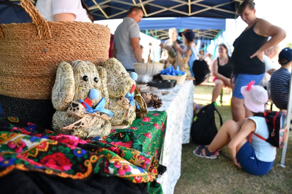 Dni Chorzowa 2024: Pikniki na Cichej 6 przyciągnęły tłumy! [FOTO] - galeria