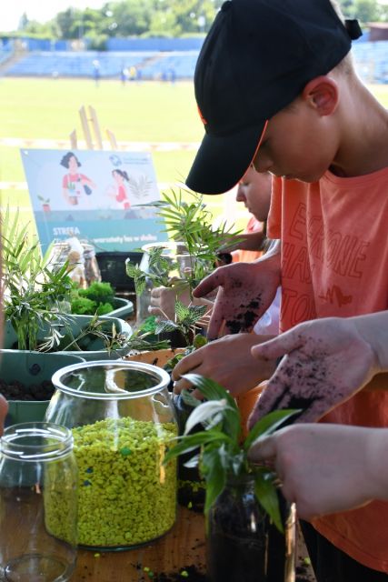 Dni Chorzowa 2024: Pikniki na Cichej 6 przyciągnęły tłumy! [FOTO] - galeria