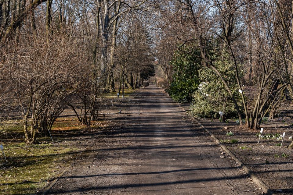 W Miejskim Ogrodzie Botanicznym w Zabrzu widać już wiosnę! - galeria