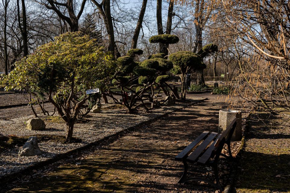 W Miejskim Ogrodzie Botanicznym w Zabrzu widać już wiosnę! - galeria