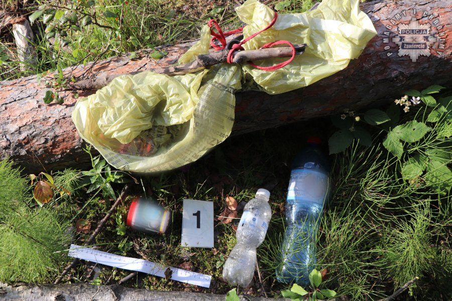 16-latek zatrzymany za uprawę konopi i posiadanie narkotyków - galeria