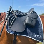 Nowe wyposażenie dla Policji Konnej w Częstochowie - galeria