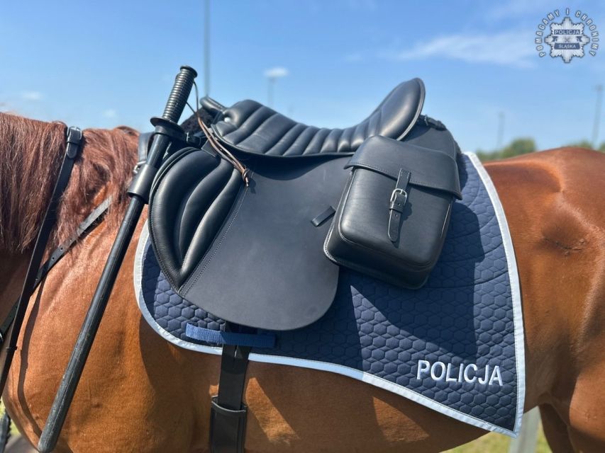 Nowe wyposażenie dla Policji Konnej w Częstochowie - galeria