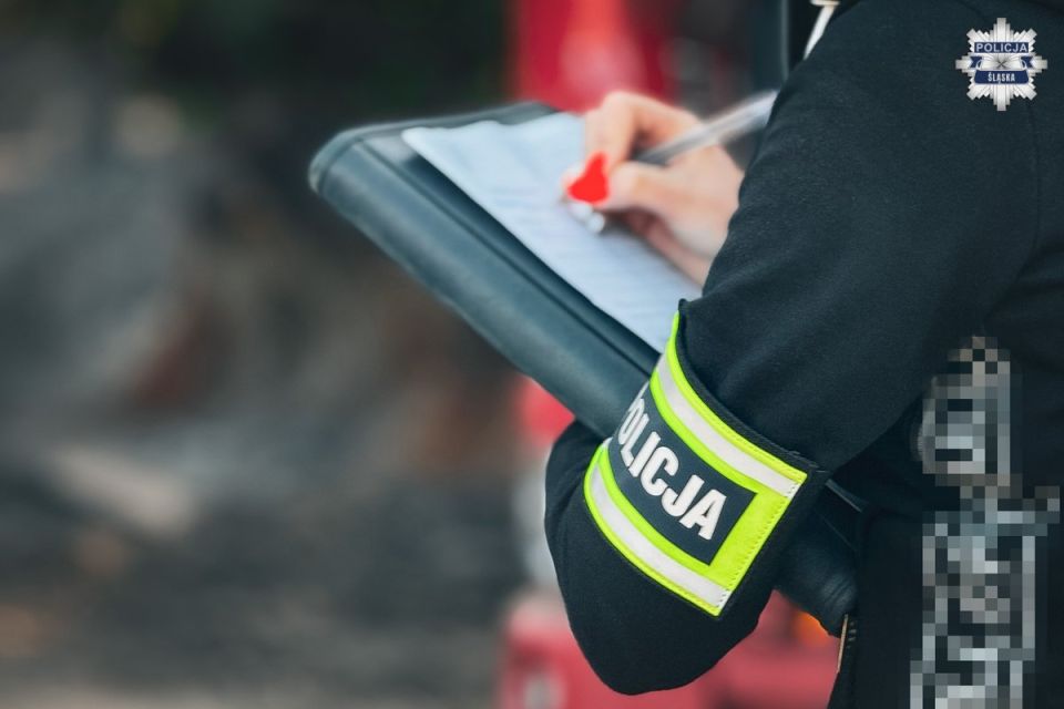 Policjanci rozbili mafię śmieciową - galeria