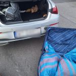 Policjanci przechwycili blisko 100 kilogramów narkotyków - galeria