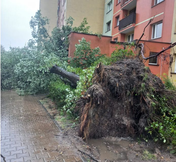 Potężna ulewa sparaliżowała Dąbrowę Górniczą: Strażacy w akcji przez całą noc! [FOTO] - galeria