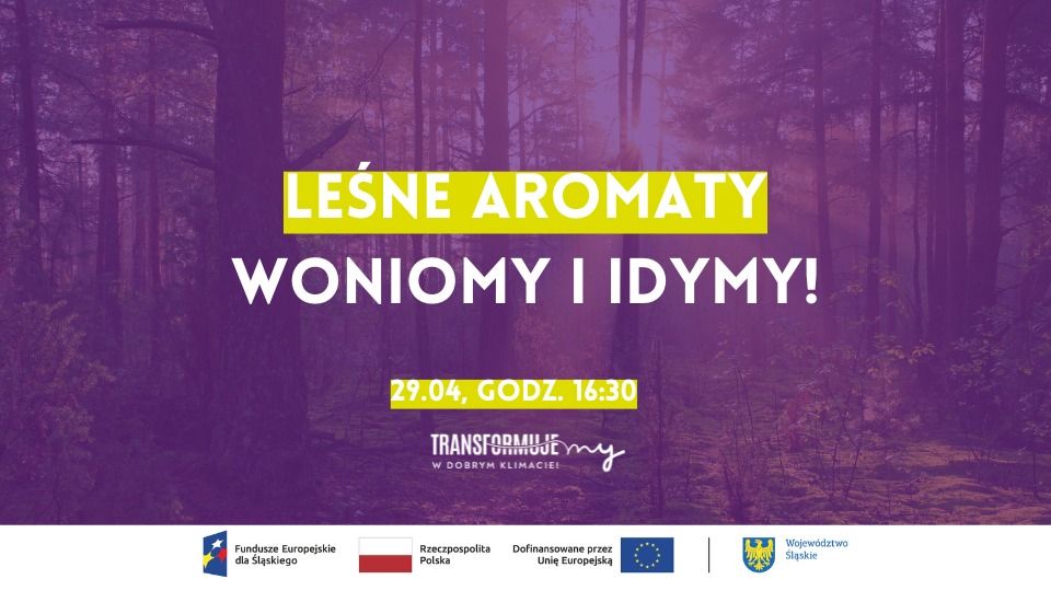 Zapachy Lasu – Odkryj magię leśnych aromatów! - galeria