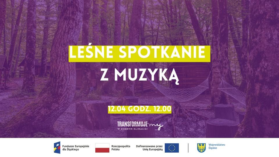Leśna Symfonia – Nagraj swoją płytę! - galeria