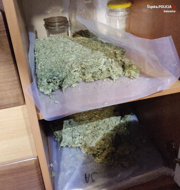Narkotyki, broń i aresztowania – spektakularna akcja policji przeciw pseudokibicom! [FOTO] - galeria