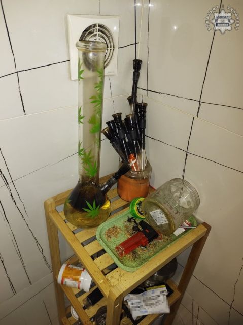 Policja z Katowic rozbiła plantację marihuany – 3,5 kg suszu zabezpieczone! - galeria