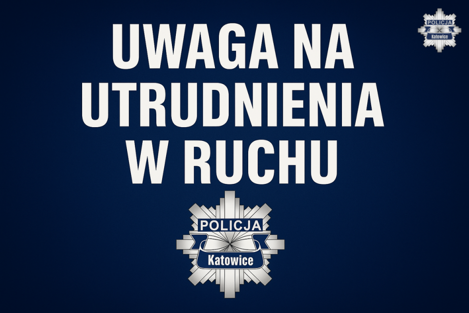 Kopiowanie i rozpowszechnianie zdjęć bez zgody autora zabronione. Zmiany w organizacji ruchu z powodu meczu Polska – Nowa Zelandia - galeria
