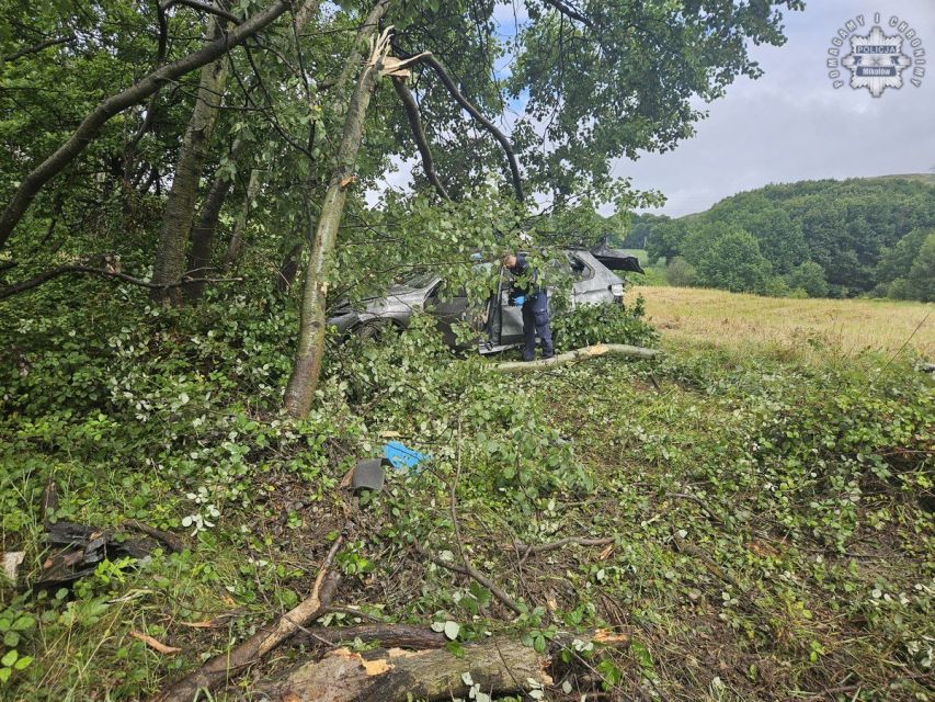 Kolizja bmw z drzewem na DK 81 w Łaziskach Górnych - galeria