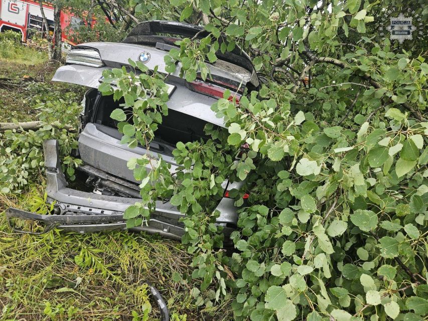 Kolizja bmw z drzewem na DK 81 w Łaziskach Górnych - galeria