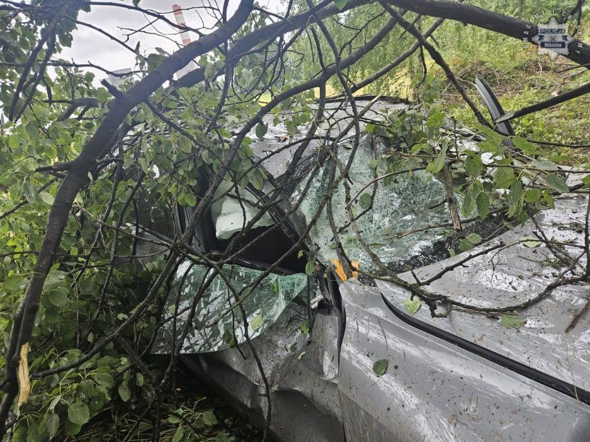 Kolizja bmw z drzewem na DK 81 w Łaziskach Górnych - galeria