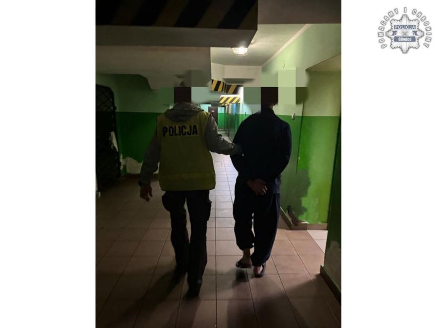 Gliwiccy policjanci zatrzymali niebezpieczny duet podpalaczy - galeria