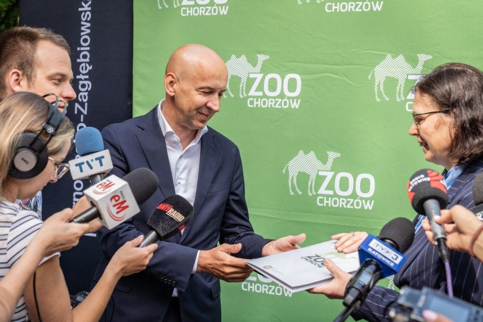 Śląskie ZOO ma nowego mieszkańca! To 13-letni tygrys amurski o imieniu Tiber! - galeria