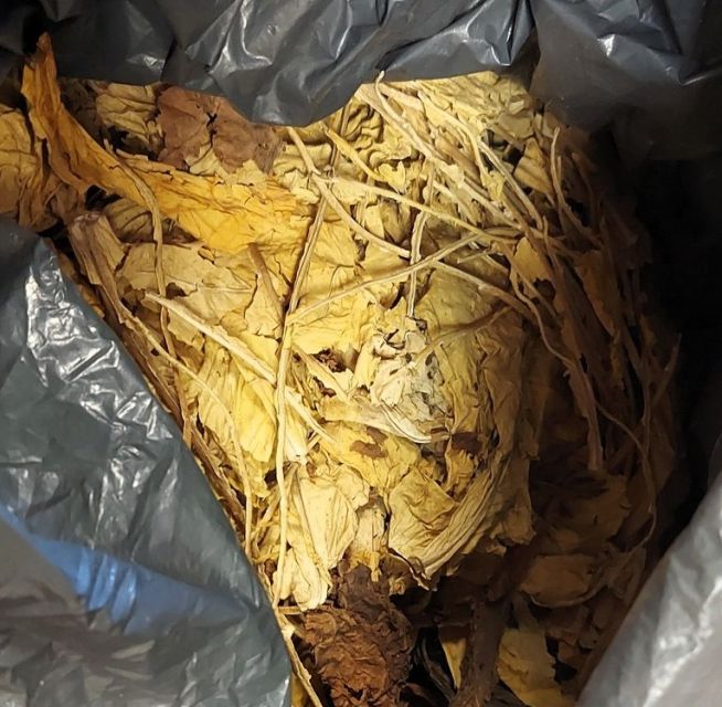 Nielegalny handel tytoniem w Bieruniu – 33 kg tytoniu bez polskich znaków akcyzy - galeria