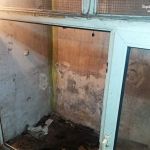 Skrajne zaniedbanie psów w Wodzisławiu Śląskim. Zwierzaki zostały odebrane właścicielce - galeria