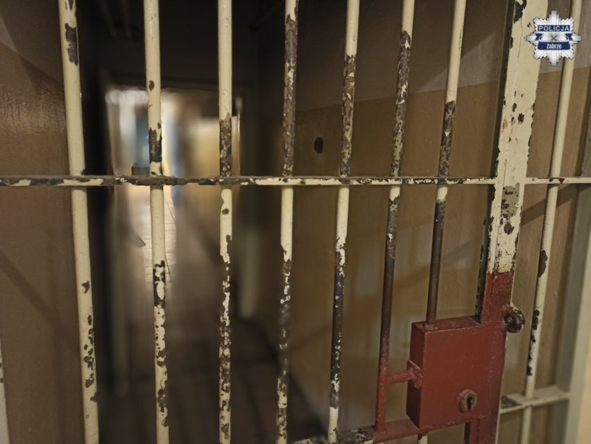 Kopiowanie i rozpowszechnianie zdjęć bez zgody autora zabronione. Tymczasowy areszt za znęcanie się nad żoną i synami - galeria