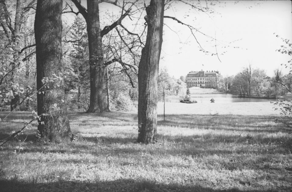 Pszczyna: Park Zamkowy 1937/fot. NAC