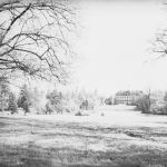 Pszczyna: W parku książęcym 1937/fot. NAC