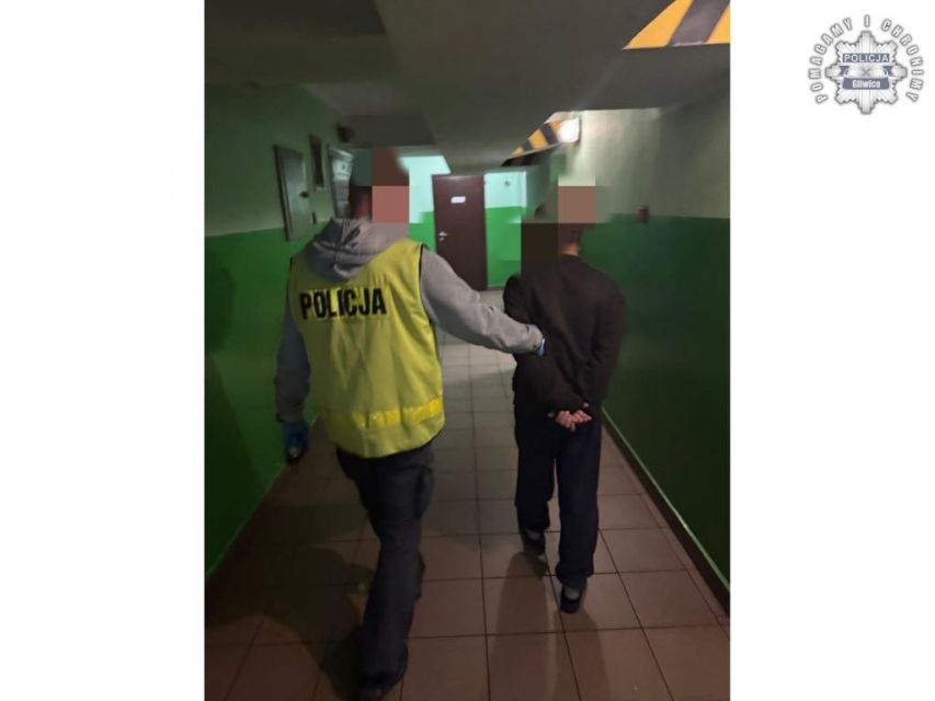 Gliwiccy policjanci zatrzymali niebezpieczny duet podpalaczy - galeria