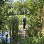 Bilet na basen zamiast mandatu. Akcja wraca do Świętochłowic! - galeria