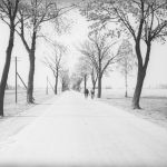 Pszczyna: Jedna z ulic. Widoczni rowerzyści 1937/fot. NAC